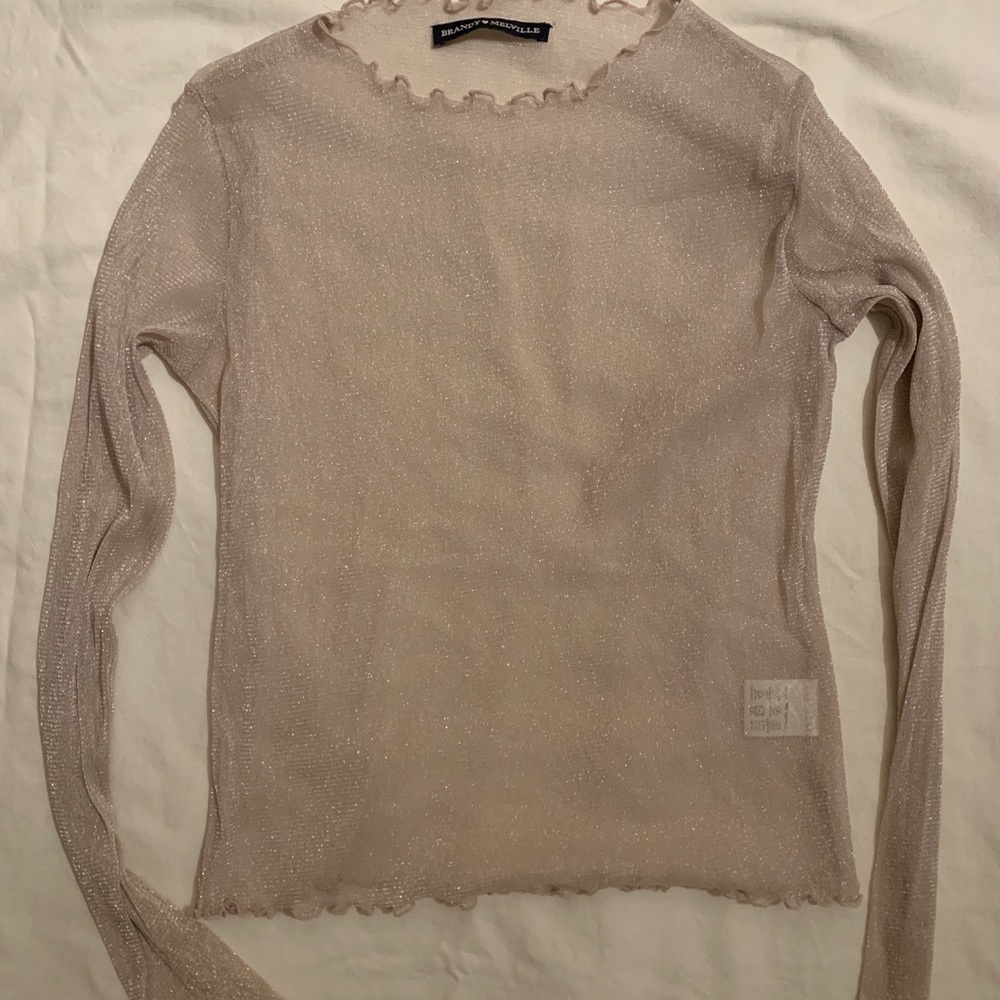 Never worn sheer sparkly brandy Melville top